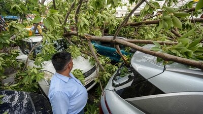 A view of an uprooted tree on PVR: Plaza-CP, following heavy thunderstorms and showers in Delhi on Saturday, May 17. (RAJ K RAJ/Hindustan Times)