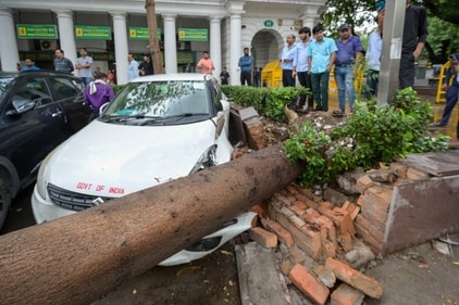 A view of an uprooted tree on PVR: Plaza-CP, following heavy thunderstorms and showers in Delhi on Saturday, May 17 (RAJ K RAJ/Hindustan Times)