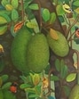 Wildbuzz | Art from God’s own country