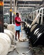 The GeM portal stands as a pivotal engine in driving India’s economic growth and development objectives (Mint)