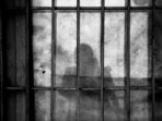 Parvesh Kumar was produced before the court following his arrest under Section 35(1)(C) of the Bharatiya Nagarik Suraksha Sanhita (BNSS). Parvesh Kumar was produced before the court following his arrest under Section 35(1)(C) of the Bharatiya Nagarik Suraksha Sanhita (BNSS).