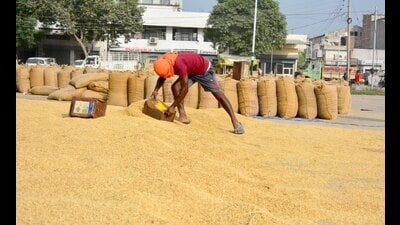 Each rake typically comprises 42 wagons and carries an average of 26,500 metric tonnes of wheat, say officials. (HT File) Each rake typically comprises 42 wagons and carries an average of 26,500 metric tonnes of wheat, say officials. (HT File)