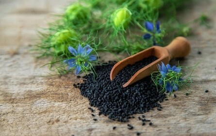 Gut lining improves gut lining. (Shutterstock)