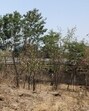 Most of these disputed lands are in Indapur, Daund, Wadgaon Maval, Baramati, Pune city, and the surrounding areas. (REPRESENTATIVE PHOTO) Most of these disputed lands are in Indapur, Daund, Wadgaon Maval, Baramati, Pune city, and the surrounding areas. (REPRESENTATIVE PHOTO)