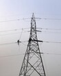 The unconcious man hanging from the wire was finally rescued by firefighters. (Sunil Ghosh/HT Photo) The unconcious man hanging from the wire was finally rescued by firefighters. (Sunil Ghosh/HT Photo)