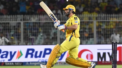 MS Dhoni's fans get big shoutout from former Indian cricketers. (Hindustan Times) MS Dhoni's fans get big shoutout from former Indian cricketers. (Hindustan Times)