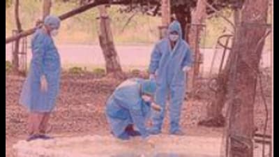 Experts from the Central Zoo Authority collecting samples at the Gorakhpur zoo on Monday. (HT Photo) Experts from the Central Zoo Authority collecting samples at the Gorakhpur zoo on Monday. (HT Photo)