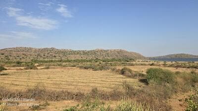 Forest patch cleared and boundary created for plantation protection. (HT photo sourced)