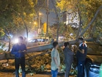 A view of an uprooted tree near PVR: Plaza, City Park Red Light at Pitampura, following heavy thunderstorms and rain showers, in New Delhi, India, on Wednesday, May 21, 2025. A view of an uprooted tree near PVR: Plaza, City Park Red Light at Pitampura, following heavy thunderstorms and rain showers, in New Delhi, India, on Wednesday, May 21, 2025.