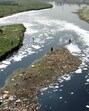 Toxic foam and waste in the Yamuna in Delhi. (HT Archive) Toxic foam and waste in the Yamuna in Delhi. (HT Archive)