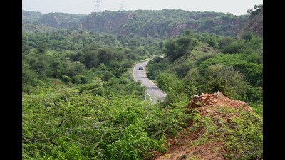 A view of Aravali Safari Park land in Garat Pur Bas village; Safari Park project which is being developed in line with the biodiversity park concept in a 10,000-acre land parcel in the Aravalli region in Gurugram and Nuh Districts, in Gurugram, India, on Wednesday, 05 July 2023. (HT PHoto) A view of Aravali Safari Park land in Garat Pur Bas village; Safari Park project which is being developed in line with the biodiversity park concept in a 10,000-acre land parcel in the Aravalli region in Gurugram and Nuh Districts, in Gurugram, India, on Wednesday, 05 July 2023. (HT PHoto)