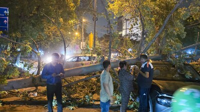 A view of an uprooted tree near PVR: Plaza, City Park Red Light at Pitampura, following heavy thunderstorms and rain showers, in New Delhi, India, on Wednesday, May 21, 2025. (Hindustan Times) A view of an uprooted tree near PVR: Plaza, City Park Red Light at Pitampura, following heavy thunderstorms and rain showers, in New Delhi, India, on Wednesday, May 21, 2025. (Hindustan Times)