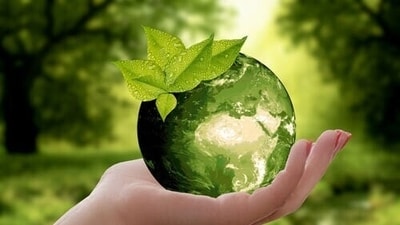 Climate crisis (Representational photo / Creative Commons) Climate crisis (Representational photo / Creative Commons)
