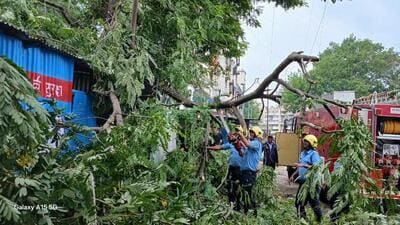 Fire brigade department has reported 54 tree-fall incidents between 4pm on Tuesday and 10am on Wednesday after heavy pre-monsoon rainfall lashed several parts of the city. (HT)