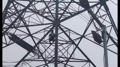 The contractor worker perched on a transmission tower in Prayagraj’s Manda area. (HT Photo) The contractor worker perched on a transmission tower in Prayagraj’s Manda area. (HT Photo)
