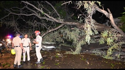 Tree fell on a car in Sector 22-D Chandigarh on Wednesday amid gusty winds, hail, and heavy rain. (Keshav Singh/HT) Tree fell on a car in Sector 22-D Chandigarh on Wednesday amid gusty winds, hail, and heavy rain. (Keshav Singh/HT)