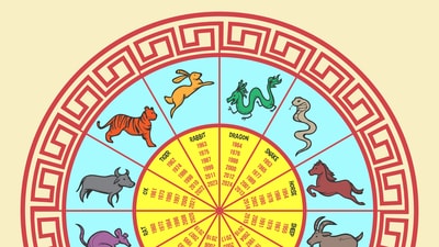 Read your lucky horoscope based on your Chinese zodiac sign. (Representative Image). (Freepik)