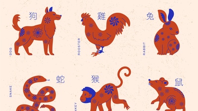 Lucky Chinese Zodiac Signs Today for May 21, 2025 Lucky Chinese Zodiac Signs Today for May 21, 2025