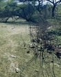 A view of the Kitchener Lake in April. (HT Photo)