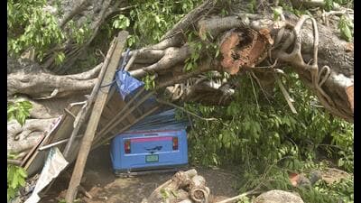 An auto was crushed after a tree fell on it during rain in Ghaziabad district on May 21 night. (Agency) An auto was crushed after a tree fell on it during rain in Ghaziabad district on May 21 night. (Agency)
