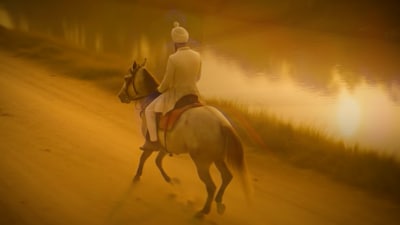 The novel, Maharaja in Denims, narrates the story of a privileged Chandigarh teenager who believes he is the reincarnation of Maharaja Ranjit Singh and a 1984 anti-Sikh riot victim. (HT Photo) The novel, Maharaja in Denims, narrates the story of a privileged Chandigarh teenager who believes he is the reincarnation of Maharaja Ranjit Singh and a 1984 anti-Sikh riot victim. (HT Photo)