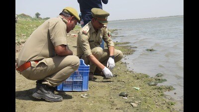 The Sarnath Turtle Breeding and Rehabilitation Centre has emerged as an example of success of conservation in the Ganga River Basin. (HT Photo) The Sarnath Turtle Breeding and Rehabilitation Centre has emerged as an example of success of conservation in the Ganga River Basin. (HT Photo)