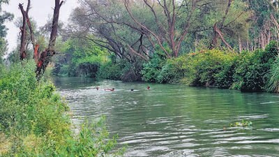 The accident took place in the section of the canal behind CISF Camp in Bawana. (HT Photos) The accident took place in the section of the canal behind CISF Camp in Bawana. (HT Photos)