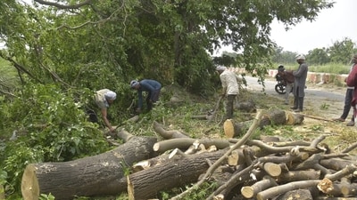 The intense hailstorm wreaked havoc across the city and uprooted numerous trees, adding to the already existing obstacles of commuters on main roads and highways. (Sakib Ali/Hindustan Times) The intense hailstorm wreaked havoc across the city and uprooted numerous trees, adding to the already existing obstacles of commuters on main roads and highways. (Sakib Ali/Hindustan Times)