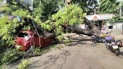 Gusty winds and dust storms uprooted several trees across the capital, and some of these fell on vehicles on the road. A vehicle was crushed under an uprooted tree at the Nizamuddin Police Station on Thursday morning following a night of heavy rain and thunderstorms. (Vipin Kumar/Hindustan Times) Gusty winds and dust storms uprooted several trees across the capital, and some of these fell on vehicles on the road. A vehicle was crushed under an uprooted tree at the Nizamuddin Police Station on Thursday morning following a night of heavy rain and thunderstorms. (Vipin Kumar/Hindustan Times)