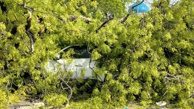 The Integrated Command and Control Centre (ICCC) at Palika Kendra reported receiving 13 complaints of tree falls in the NDMC area alone. Tree branches fell at various locations such as Vikas Marg, Akshardham Road, Sikandra Road, Firoz Shah Road, and the loop toward Akshardham Road. (Vipin Kumar/Hindustan Times) The Integrated Command and Control Centre (ICCC) at Palika Kendra reported receiving 13 complaints of tree falls in the NDMC area alone. Tree branches fell at various locations such as Vikas Marg, Akshardham Road, Sikandra Road, Firoz Shah Road, and the loop toward Akshardham Road. (Vipin Kumar/Hindustan Times)