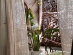 Khus curtains harness their aromatic and cooling properties to filter air and regulate during summers(Photo: Instagram (saumyas.home.decor))