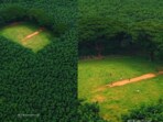 "The field is located at Malayalam Plantation in Varandarappilly."
"The field is located at Malayalam Plantation in Varandarappilly."