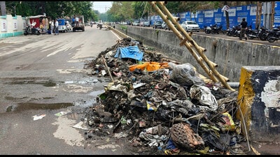 Garbage lying near drains in Vibhuti Khand area. (Deepak Gupta/HT) Garbage lying near drains in Vibhuti Khand area. (Deepak Gupta/HT)