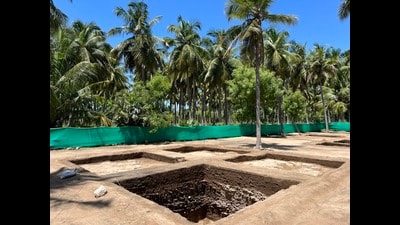 The ninth phase of excavation at Keeladi site in 2023. (HT PHOTO)