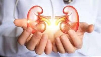 The retrieved kidneys, being very small, were transplanted into a single adult recipient, who is now recovering well. (HT File)