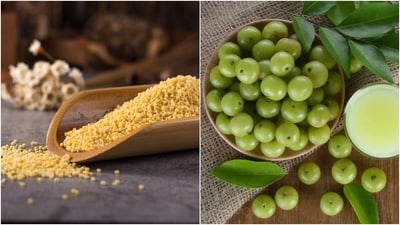 Millet and amla should be added to the daily diet. (Freepik, Unsplash) Millet and amla should be added to the daily diet. (Freepik, Unsplash)