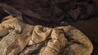 Internet users were challenged to find a dog hidden in this image. (Reddit/The__Corsair) Internet users were challenged to find a dog hidden in this image. (Reddit/The__Corsair)