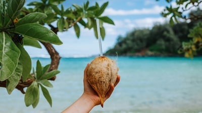Summer diets should include hydrating fruits like oranges and watermelons for immune support and hydration. (Unsplash) Summer diets should include hydrating fruits like oranges and watermelons for immune support and hydration. (Unsplash)