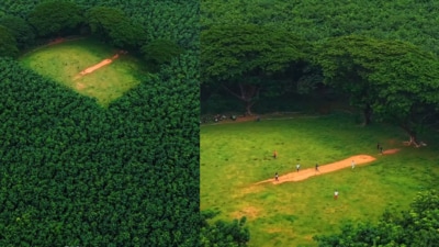 "The field is located at Malayalam Plantation in Varandarappilly." (Instagram/@notonthemap) "The field is located at Malayalam Plantation in Varandarappilly." (Instagram/@notonthemap)