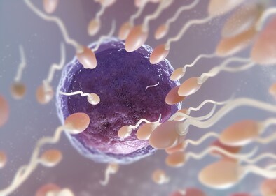 For women, age has a significant and quick impact on egg quality and the older you get, the more difficult it can be to become pregnant naturally. (Freepik) For women, age has a significant and quick impact on egg quality and the older you get, the more difficult it can be to become pregnant naturally. (Freepik)