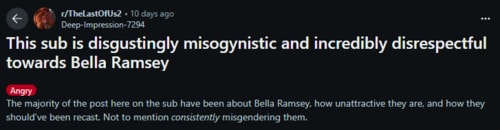 A screengrab of a Redditor calling out misogynistic, homophobic comments against Bella Ramsey.