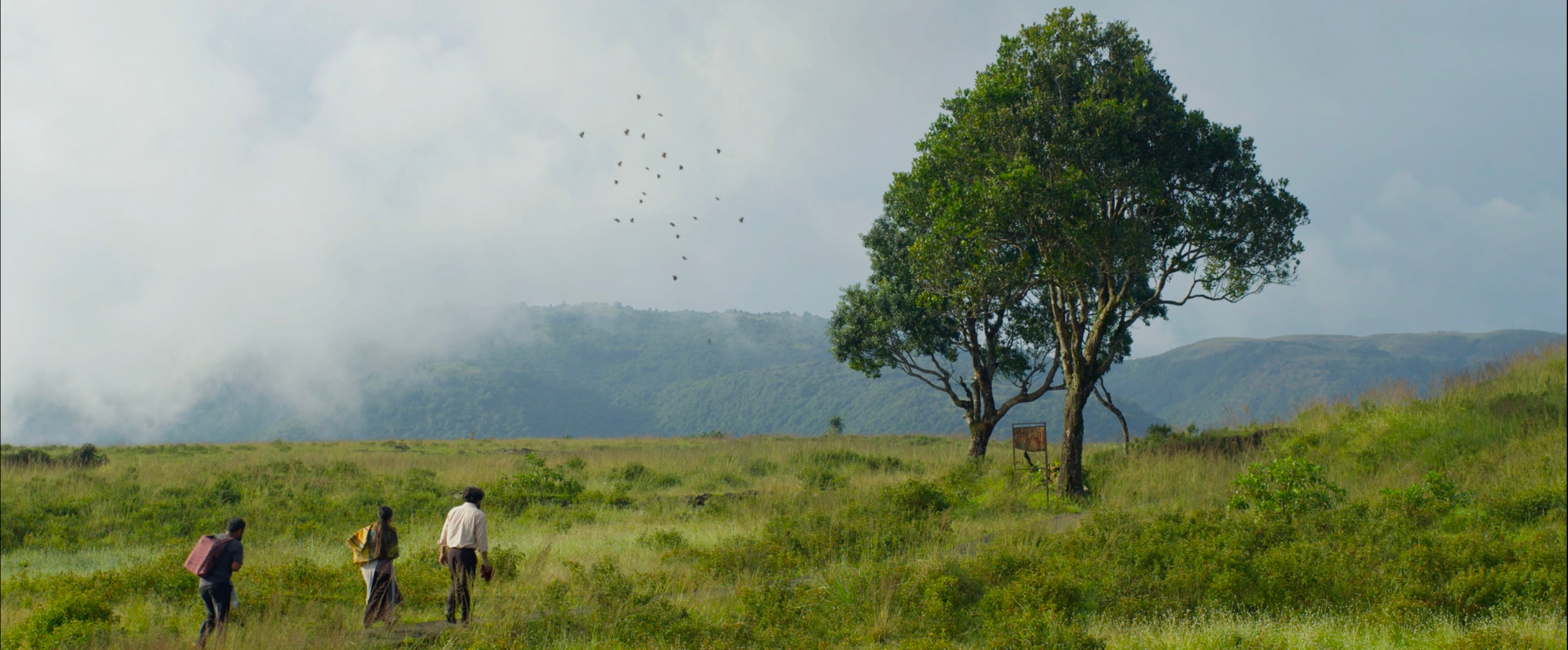 “The cinematographer Pradip Daimary and I were clear right from the beginning that we wanted to avoid close or tight shots. We wanted to stay wide to allow the characters to exist within the environment in a way that visually expresses their emotions.” (A scene from Ha Lyngkha Bneng (The Elysian Field)) “The cinematographer Pradip Daimary and I were clear right from the beginning that we wanted to avoid close or tight shots. We wanted to stay wide to allow the characters to exist within the environment in a way that visually expresses their emotions.” (A scene from Ha Lyngkha Bneng (The Elysian Field))