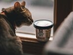 (Image for representation) Consumers eligible for refunds on recalled Quaker products due to salmonella risk; claims deadline is June 27, 2025. (Image for representation) Consumers eligible for refunds on recalled Quaker products due to salmonella risk; claims deadline is June 27, 2025.