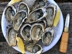 Frozen, half-shell oysters from South Korea have been recalled due to potential norovirus contamination. Frozen, half-shell oysters from South Korea have been recalled due to potential norovirus contamination.