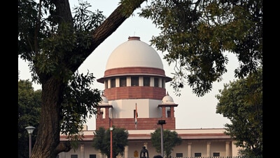 A bench headed by justice JB Pardiwala dismissed a petition filed by the father of Kessireddy Raja Shekhar Reddy, who is currently in jail. (HT PHOTO)