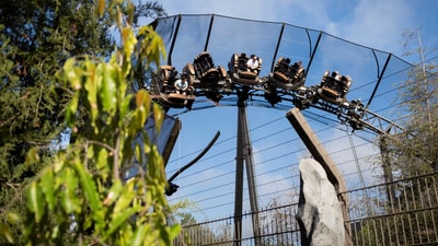 People ride The Curse of the Werewolf roller coaster at "Dark Universe" world in Universal Epic Universe theme park ahead of the grand opening ceremony in Orlando, Florida, U.S. May 21, 2025. REUTERS/Marco Bello/File Photo (REUTERS)