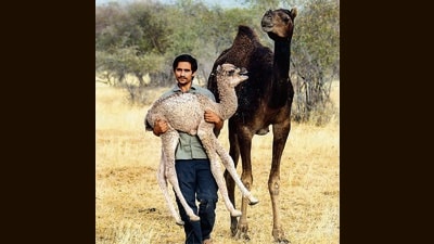 He belonged from the Bishnoi community of Rajasthan, who are known for their environmental stewardship. (HT PHOTO) He belonged from the Bishnoi community of Rajasthan, who are known for their environmental stewardship. (HT PHOTO)