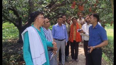 The DM was joined by deputy director DK Verma of the horticulture department and other officials. General secretary Upendra Singh of the committee, along with mango growers. (Sourced)
