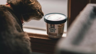 (Image for representation) Consumers eligible for refunds on recalled Quaker products due to salmonella risk; claims deadline is June 27, 2025. (Pexel) (Image for representation) Consumers eligible for refunds on recalled Quaker products due to salmonella risk; claims deadline is June 27, 2025. (Pexel)