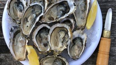 Frozen, half-shell oysters from South Korea have been recalled due to potential norovirus contamination. (Representative Image: Unsplash ) Frozen, half-shell oysters from South Korea have been recalled due to potential norovirus contamination. (Representative Image: Unsplash )